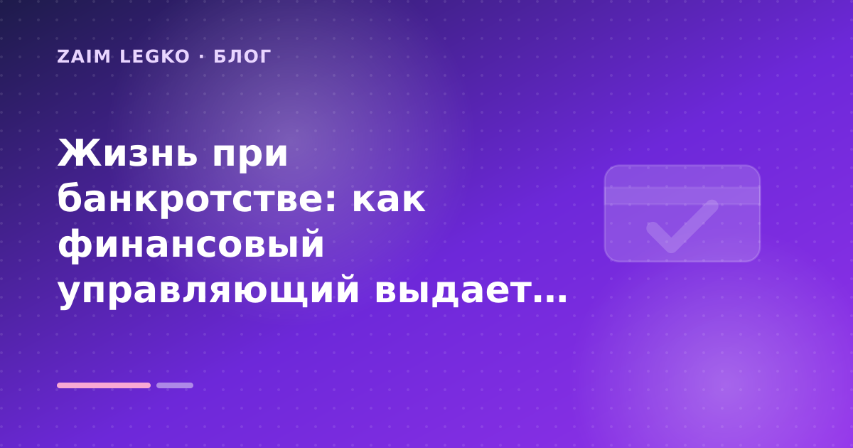 Жизнь при банкротстве: как финансовый управляющий выдает деньги — иллюстрация Zaim Legko